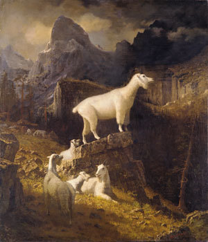 Albert Bierstadt Paintings Rocky Mountain Goats